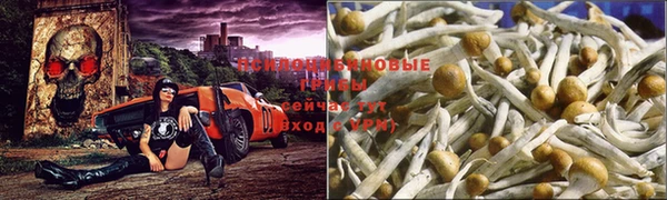 бутират Арсеньев
