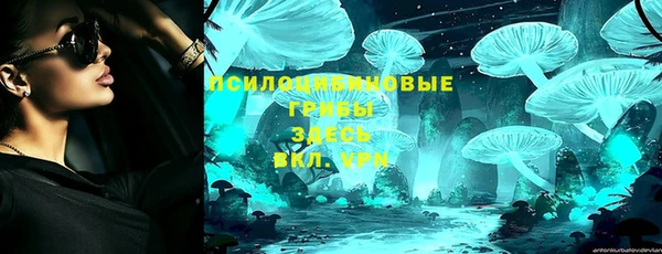 не бодяженный Аркадак